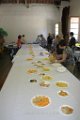 Final catequesis 2010  (39)