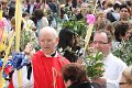 Domingo Ramos 2013 (98)