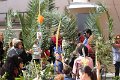 IMG_9288