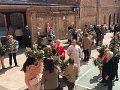 IMG_8183